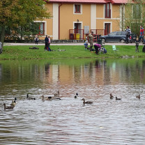 Dětské rybářské závody 2022