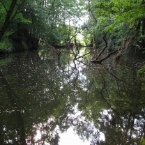 Čepovo jezero